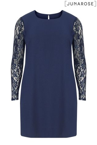 Juna Rose Lace Sleeve Shift Dress